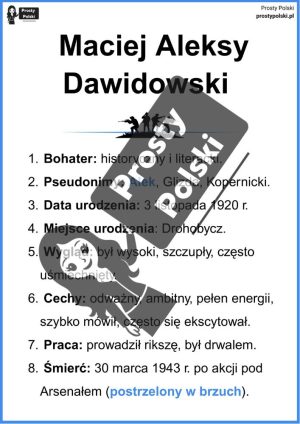 „Kamienie na szaniec” – Rudy, Alek i Zośka